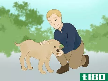 Image titled Catch Your Dog when They Run After Another Dog or Person Step 7