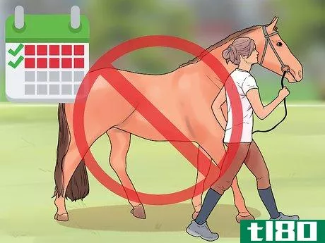 Image titled Castrate a Horse Step 14
