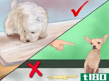 Image titled Keep a Dog or Cat Successfully While Living in an Apartment Step 18