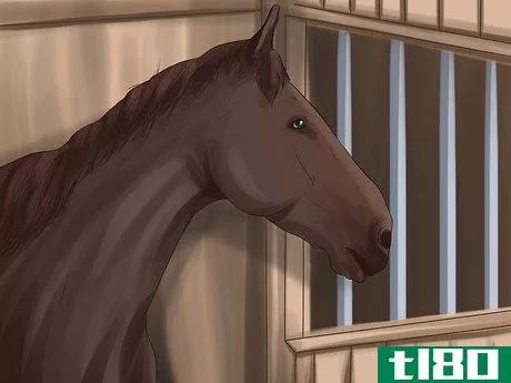 Image titled Care for Your Horse After Riding Step 14