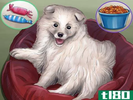 Image titled Care for an American Eskimo Puppy Step 1