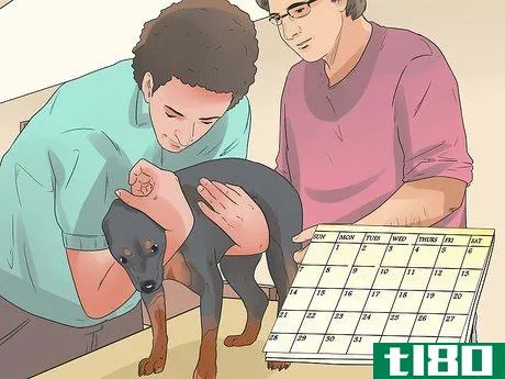 Image titled Care for Rottweilers Step 3