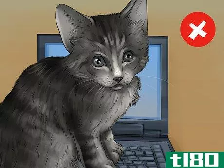 Image titled Cat Proof Your Computer Step 12