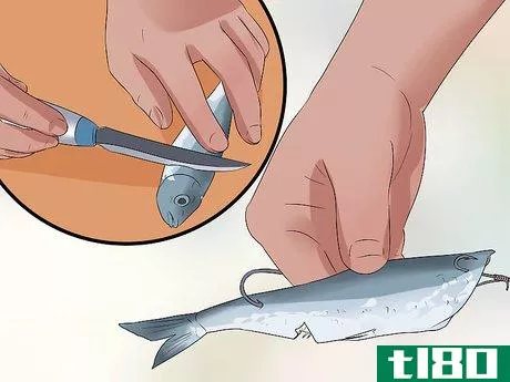 Image titled Catch Salmon Step 12