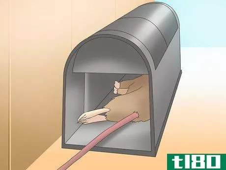 Image titled Catch a Rodent in Your House Step 10