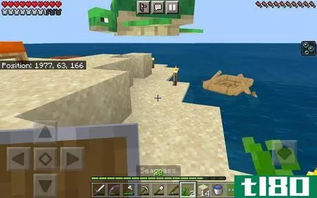 Image titled Floating Pregnant Turtle (Minecraft).png