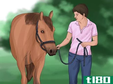 Image titled Care for Your Horse After Riding Step 1