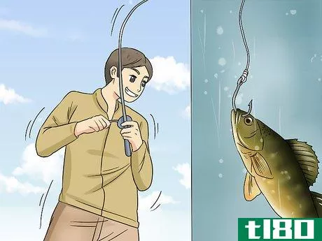 Image titled Catch Perch Step 7