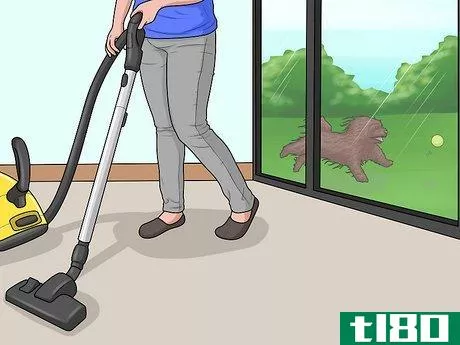 Image titled Keep a Dog from Chasing the Vacuum Cleaner Step 2