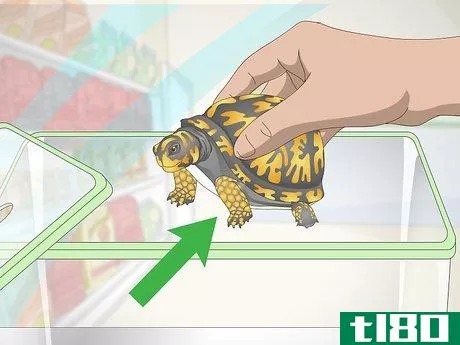 Image titled Care for an Eastern Box Turtle Step 2