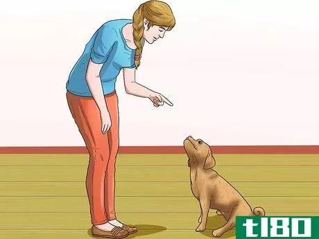 Image titled Care for Puggles Step 20