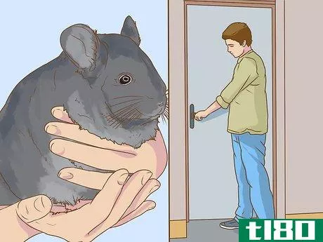 Image titled Clean a Chinchilla Cage Step 2