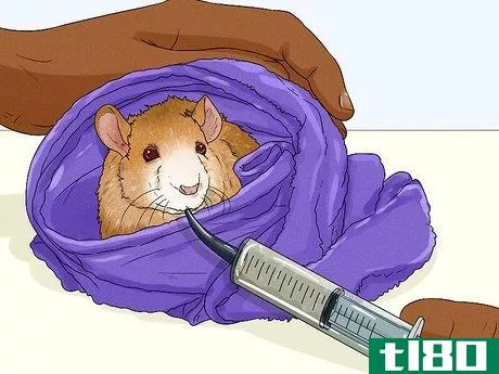 Image titled Care for a Rat That Had a Stroke Step 10