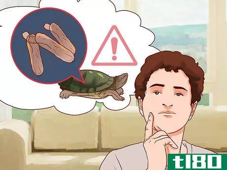 Image titled Catch Water Turtles Step 12