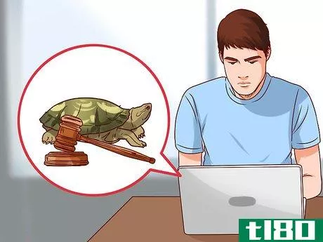 Image titled Catch Water Turtles Step 10