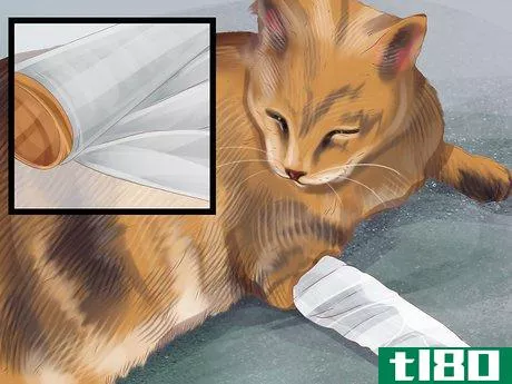 Image titled Care for Your Pet's Bandages Step 4