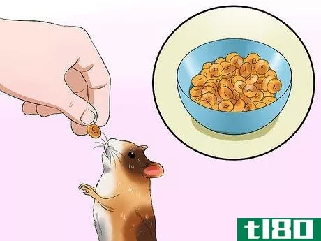 Image titled Make Your Own Organic Hamster Food Step 7