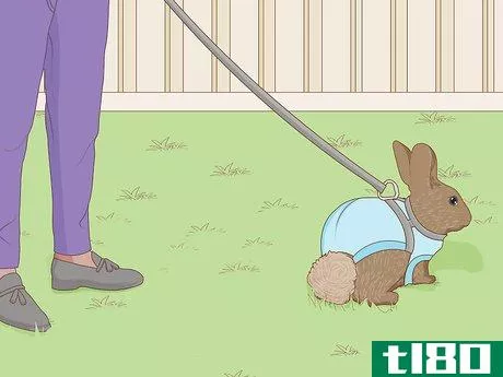 Image titled Care for a New Pet Rabbit Step 16