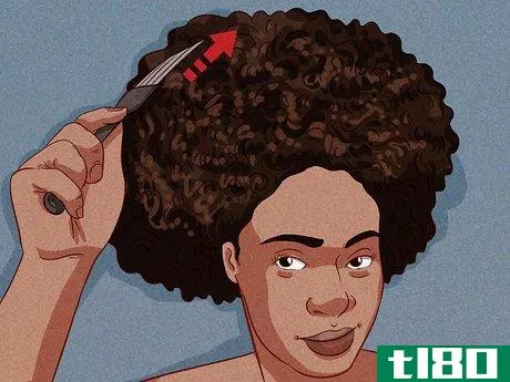 Image titled Make Your Afro Stand Up Step 12
