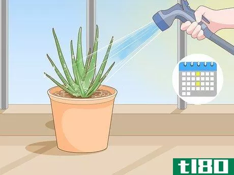 Image titled Keep an Aloe Vera Plant Fresh Step 3