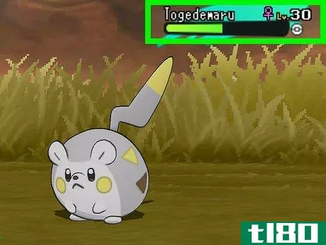 Image titled Catch Togedemaru in Pokémon Sun and Moon Step 5