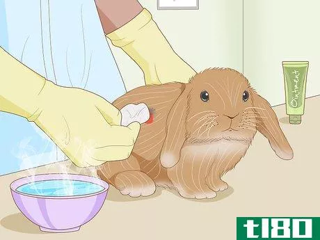 Image titled Care for an Injured Rabbit Step 7