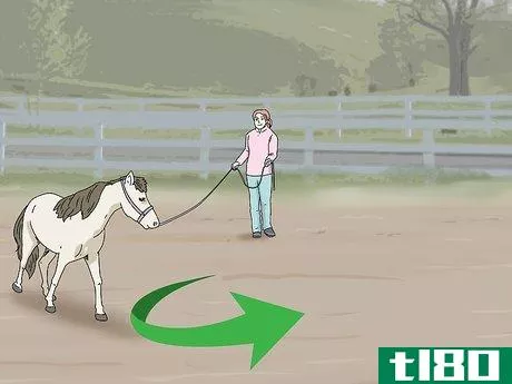 Image titled Keep a Miniature Horse Fit Step 8