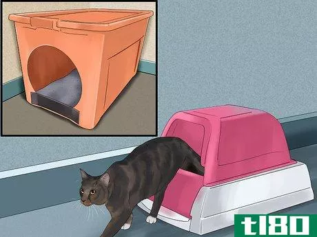 Image titled Catify Your Home for a Senior Cat Step 11