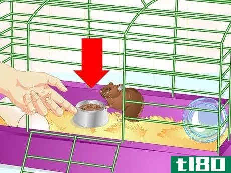 Image titled Care for Old Hamsters Step 6
