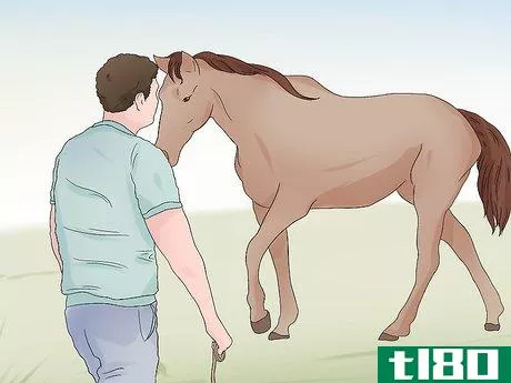 Image titled Catch a Wild Horse Step 3
