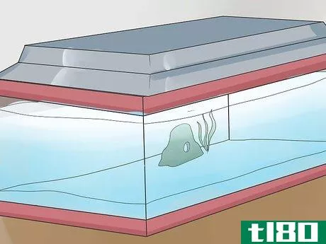Image titled Look After Tropical Fish Step 5