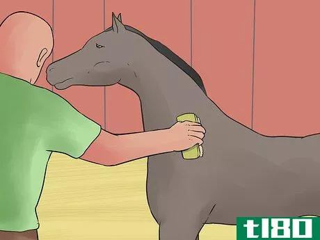 Image titled Care for an Arabian Horse Step 11