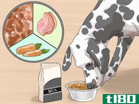 Image titled Care for a Dalmatian Step 1