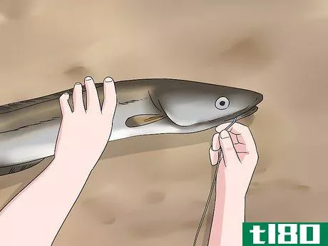 Image titled Catch Eels Step 20