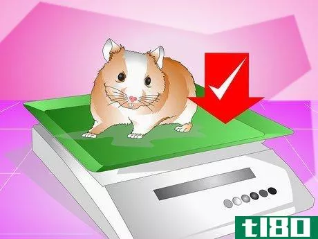 Image titled Make Your Hamster Live Longer Step 9