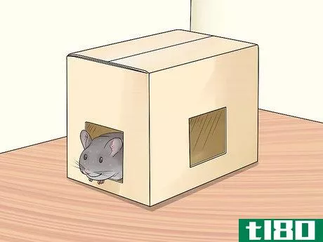 Image titled Choose Hide Houses for a Chinchilla Step 2