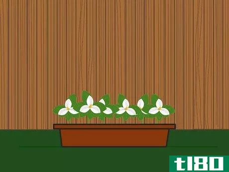 Image titled Choose Plants for a Garden Step 13