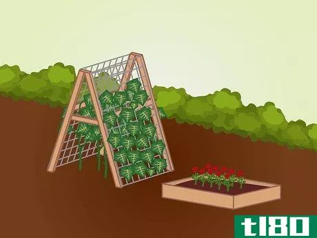 Image titled Choose Plants for a Garden Step 19
