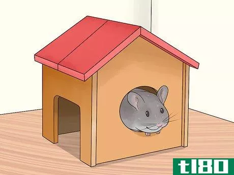 Image titled Choose Hide Houses for a Chinchilla Step 3