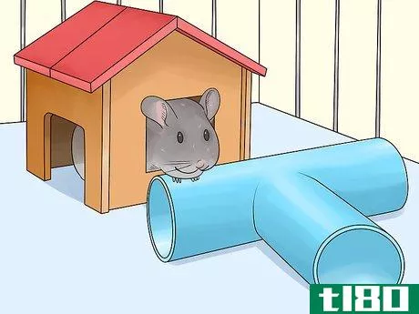 Image titled Choose Hide Houses for a Chinchilla Step 10