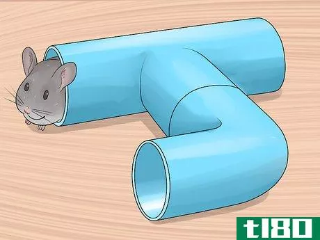Image titled Choose Hide Houses for a Chinchilla Step 4