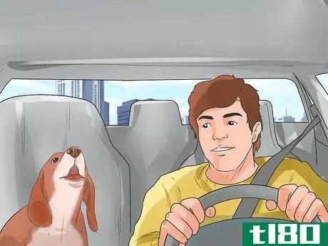 Image titled Deal With Your Dog's Fear of Vehicles Step 23