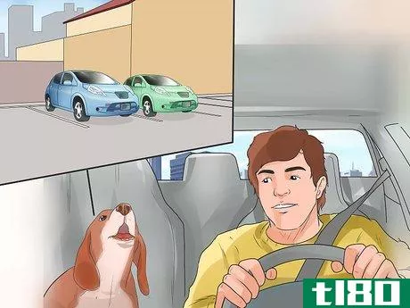 Image titled Deal With Your Dog's Fear of Vehicles Step 24