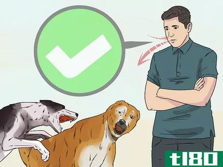 Image titled Deal with Aggressive Dogs when They Fight Step 1