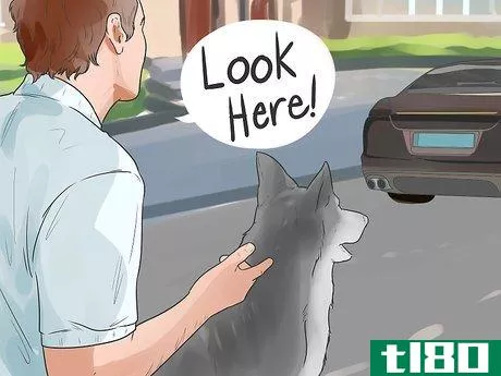 Image titled Deal With Your Dog's Fear of Vehicles Step 5