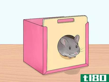 Image titled Choose Hide Houses for a Chinchilla Step 5