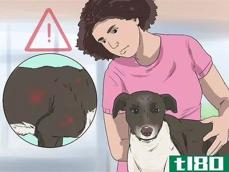 Image titled Deal with Aggressive Dogs when They Fight Step 6