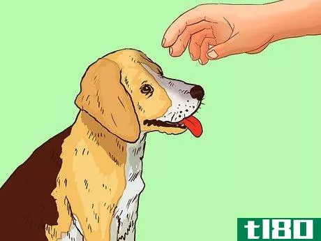 Image titled Deal with Emotional Trauma After a Dog Bites You Step 13