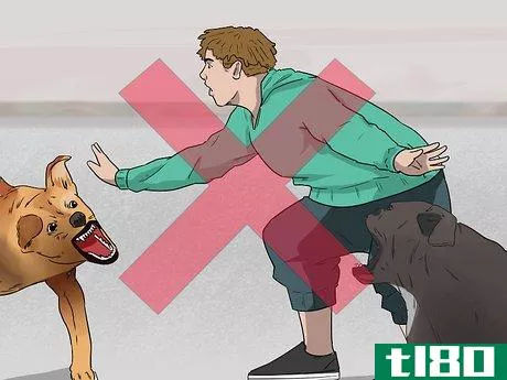 Image titled Deal with Aggressive Dogs when They Fight Step 2
