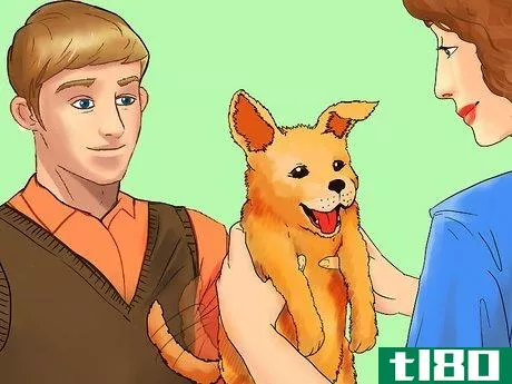 Image titled Deal with Emotional Trauma After a Dog Bites You Step 12